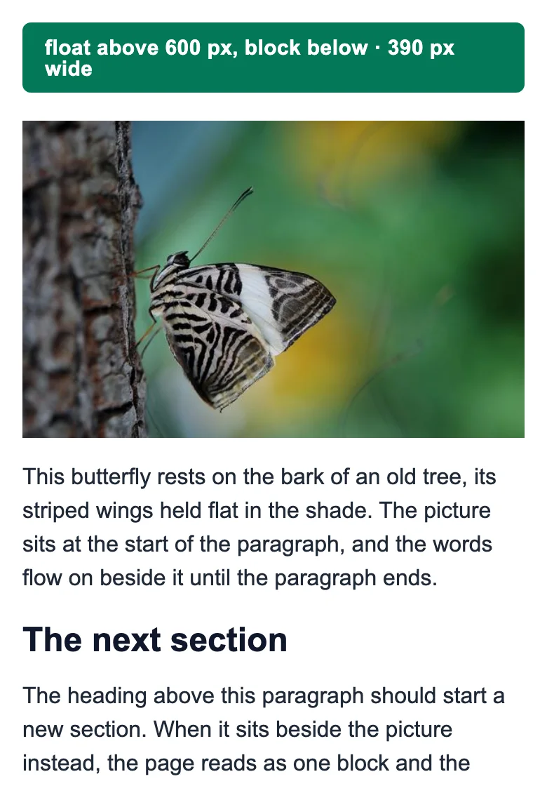 The responsive test page on a 390 pixel phone: the photo fills the width and the paragraph starts under it.