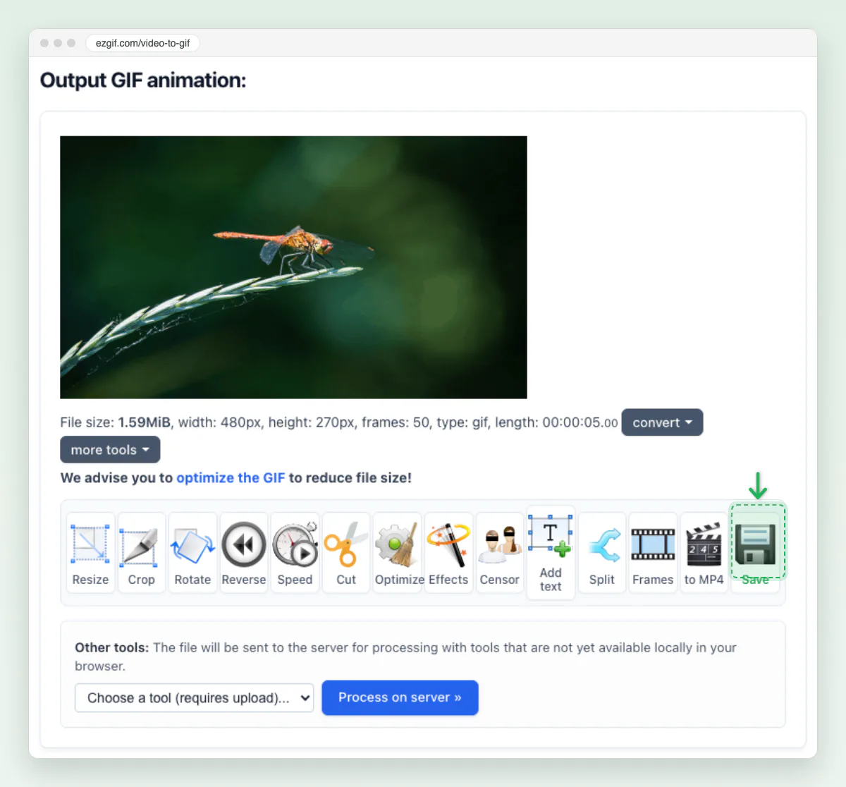 Screenshot of ezgif’s Output GIF animation panel showing the dragonfly GIF, its file size and size line, with the Save button marked.
