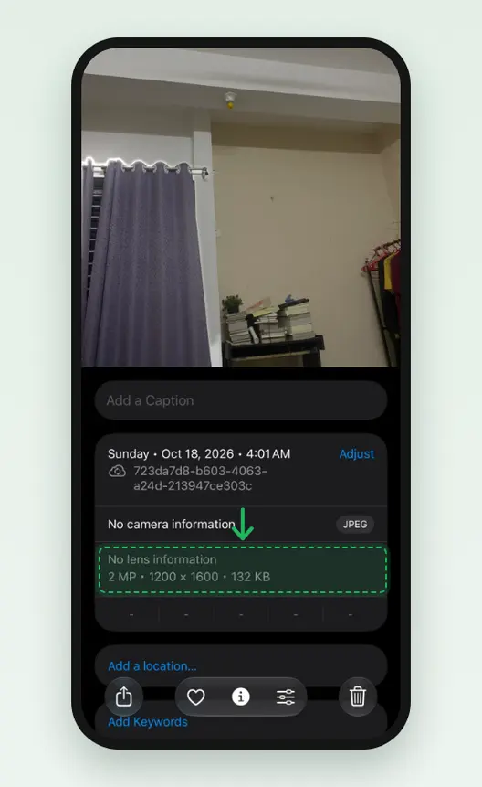 Screenshot of the iPhone Photos info panel for the Standard copy saved from WhatsApp: No camera information, JPEG, 2 MP, 1,200 × 1,600, 132 KB, marked.