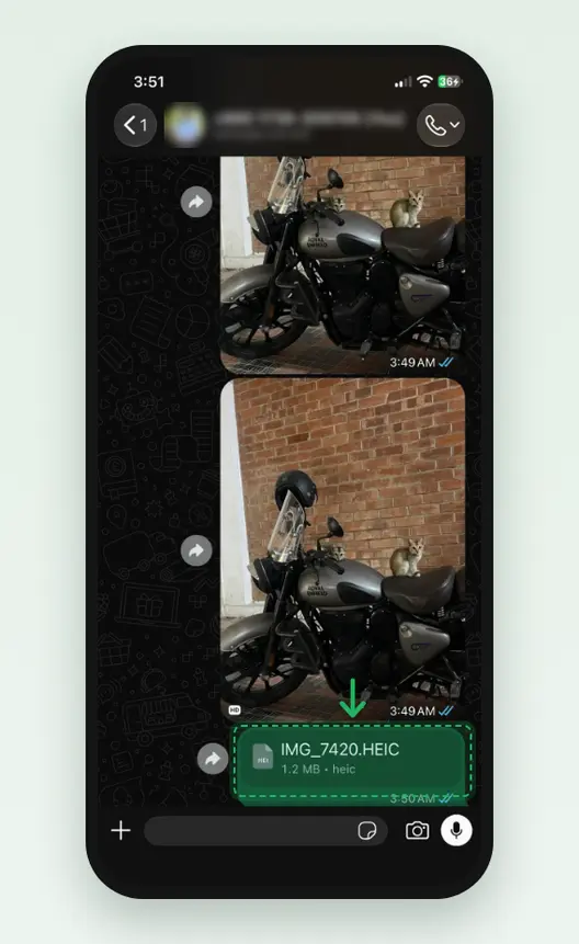 Screenshot of a WhatsApp chat on an iPhone with a HEIC photo sent as a document, a file bubble reading IMG_7420.HEIC, 1.2 MB, heic, marked.