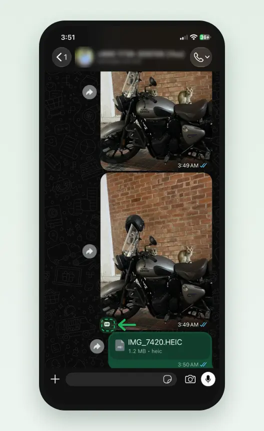 Screenshot of a WhatsApp chat on an iPhone: a Standard photo above, and an HD photo below with its small HD badge at the bottom left marked. The header is blurred.