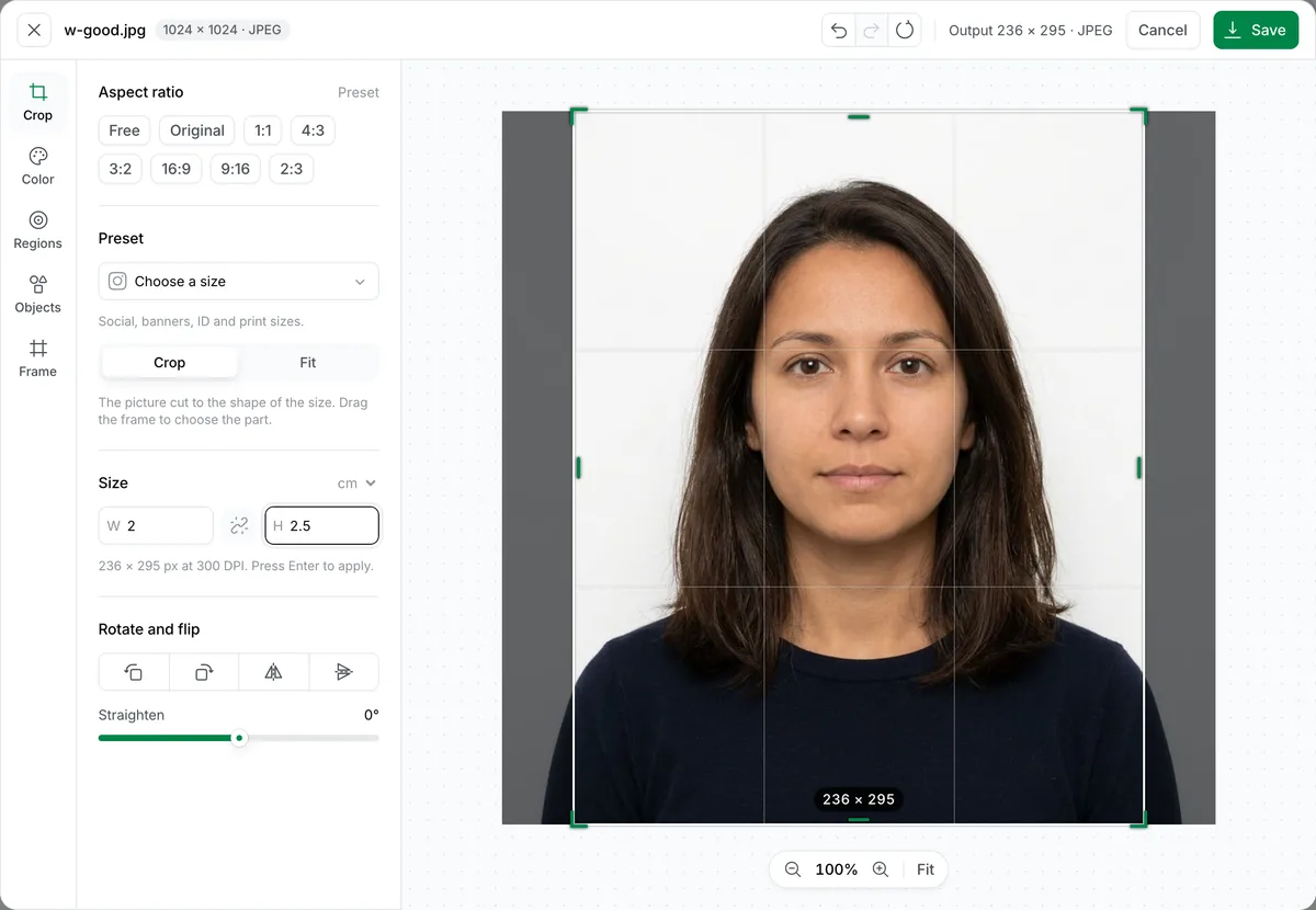 The editor with Size set to W 2 and H 2.5 cm, reading 236 × 295 px at 300 DPI, the frame over a head and shoulders