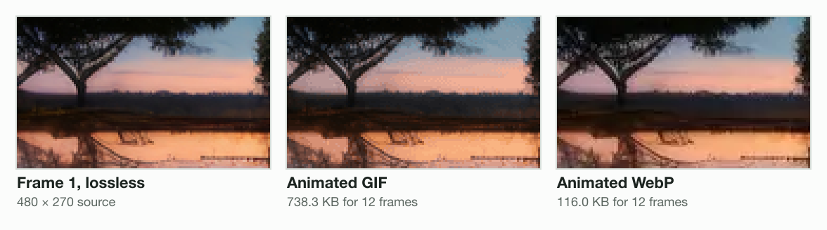 The first frame of a sunset clip enlarged three times: the lossless frame, the animated GIF at 738.3 KB with speckled dithering in the sky, and the animated WebP at 116.0 KB closer to the source.
