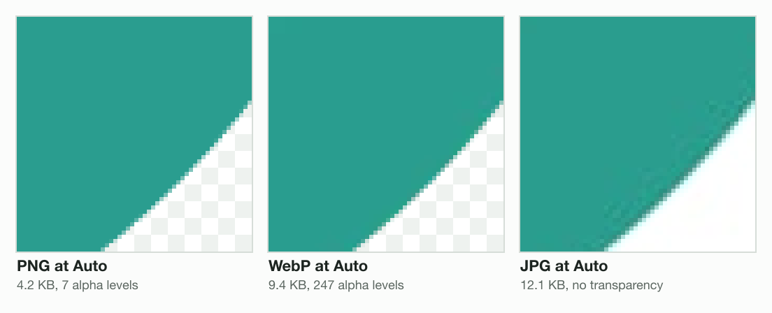 The rim of a teal logo over a checkerboard, enlarged six times: the PNG at Auto steps its edge with 7 alpha levels, the WebP keeps a smooth fade with 247, and the JPG fills the see-through part with white.