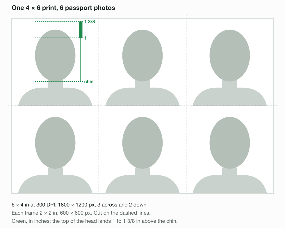 A 4 × 6 inch print sheet, 1800 × 1200 pixels at 300 DPI, holding 6 passport photo frames of 2 × 2 inches, 600 × 600 pixels each, 3 across and 2 down, with dashed cut lines and the head band of 1 to 1 3/8 inches marked on one frame.