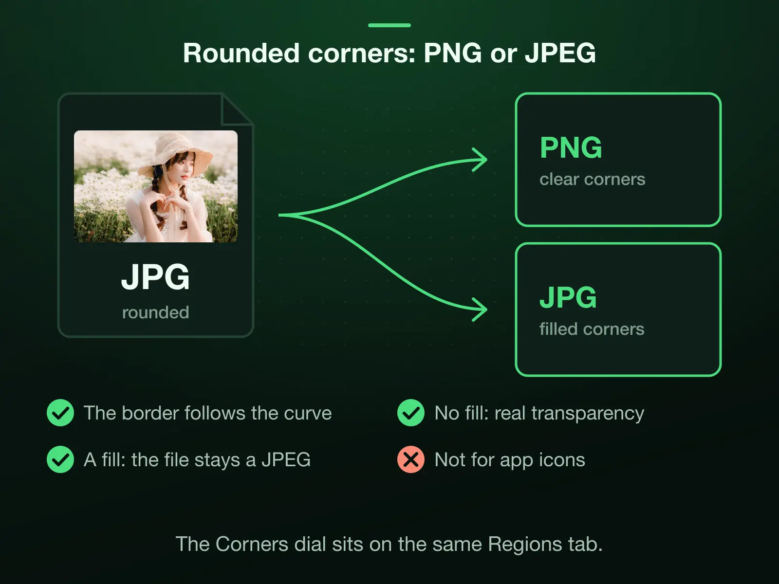 A photo with rounded corners saved two ways: with nothing behind the corners it becomes a PNG with transparent corners; with a Background fill the corners take the colour and the file stays a JPEG. The border follows the curve either way.
