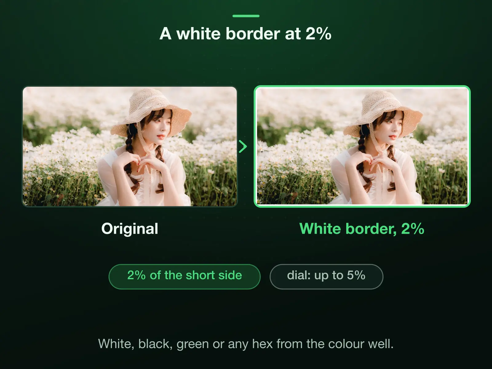 A photo of a woman in a straw hat among white flowers before and after the border tool: a white border at 2% of the short side, drawn inside the frame. The Border dial runs from nothing to 5%, and white, black and green swatches sit beside it.