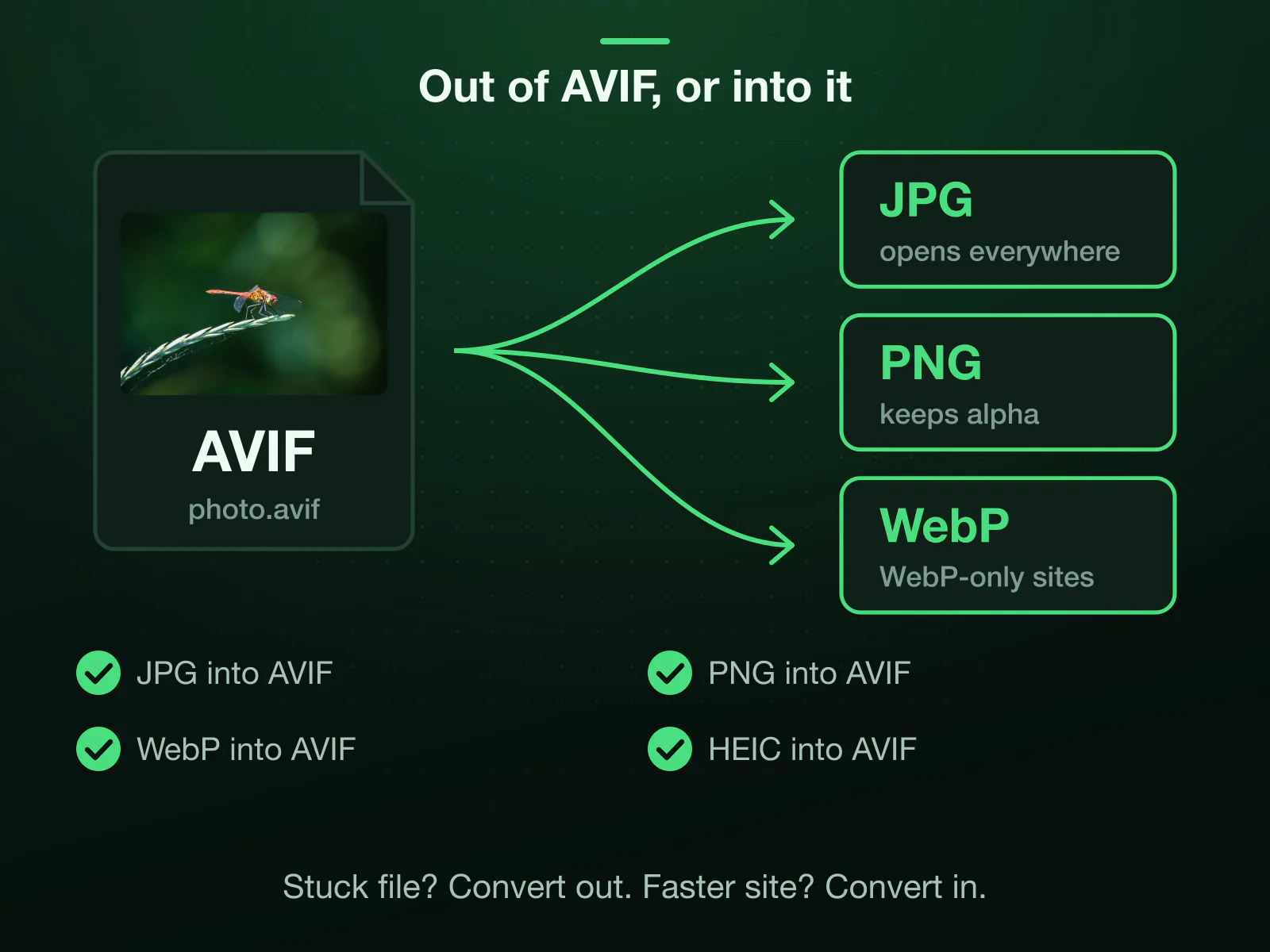 An AVIF photo converting out to three formats: JPG, which opens everywhere; PNG, which keeps the transparency; and WebP, for sites that take WebP but not AVIF. Under it, the other direction: JPG, PNG, WebP and HEIC convert into AVIF for a faster site.