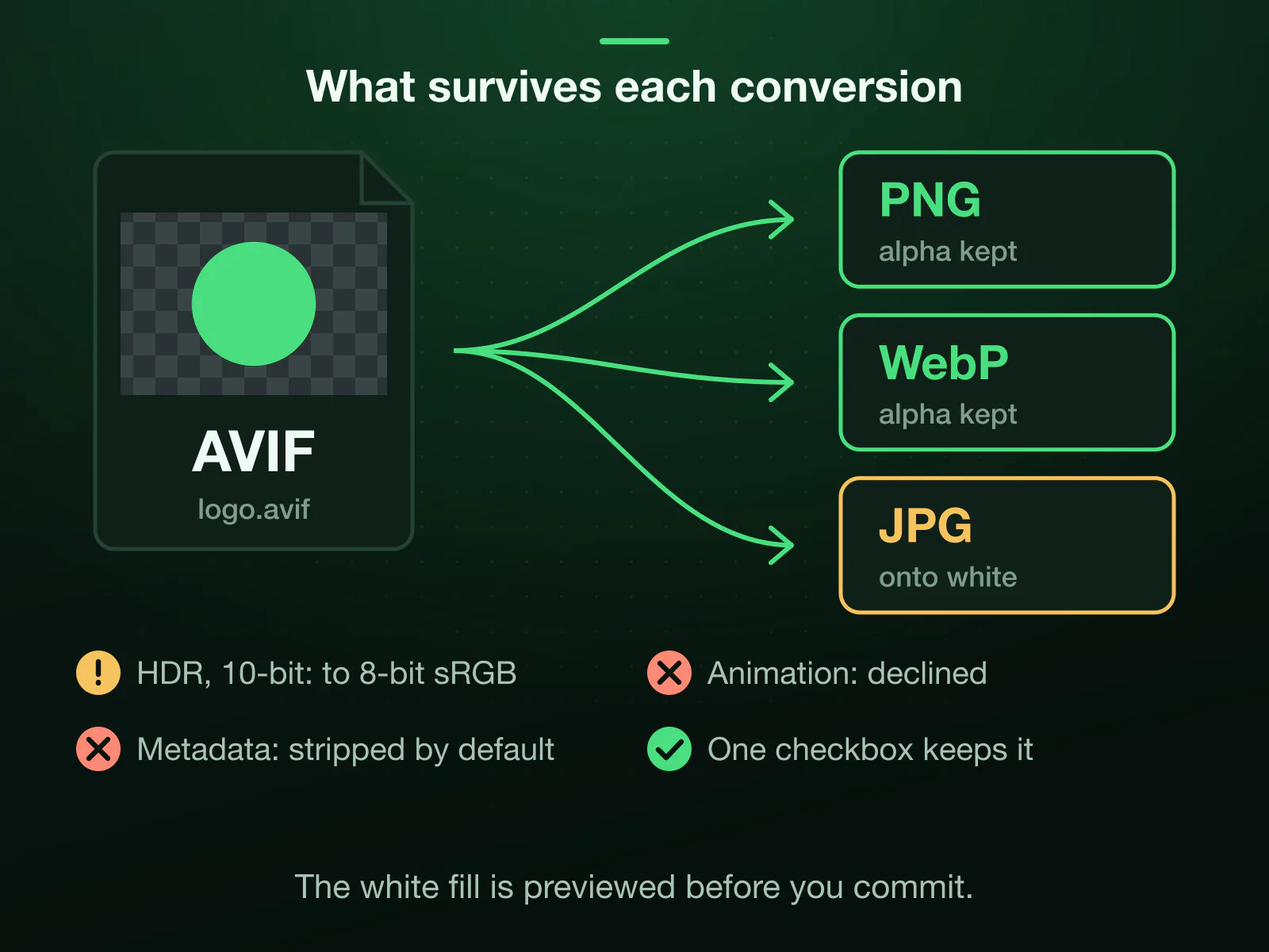 A transparent AVIF logo converting three ways: PNG and WebP keep the transparency, JPG fills it with white, previewed first. HDR and 10-bit colour are tone-mapped to 8-bit sRGB, animated AVIFs are declined, and metadata is stripped by default unless one checkbox keeps it.