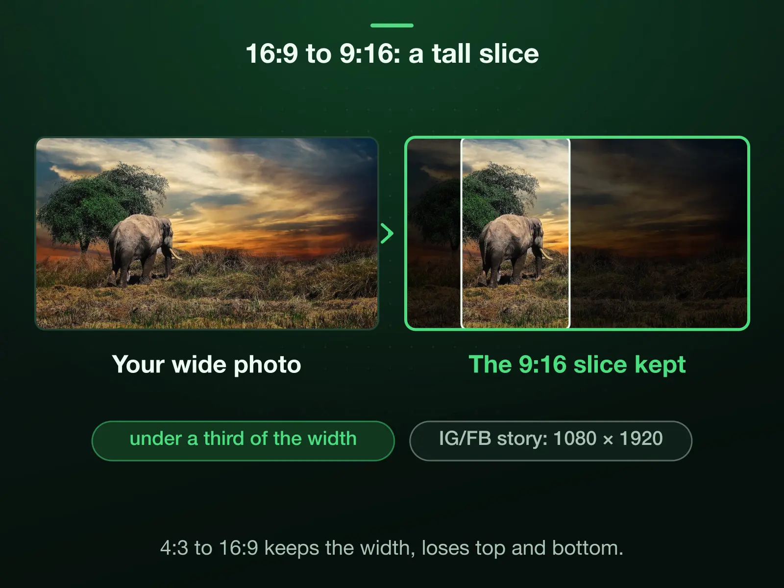 A wide photo with the 9:16 slice a tall crop keeps, under a third of the width and centred on the elephant, the cut sides dimmed; IG/FB story exports it at 1080 × 1920. From 4:3 to 16:9 you keep the full width and lose a band at the top and bottom.