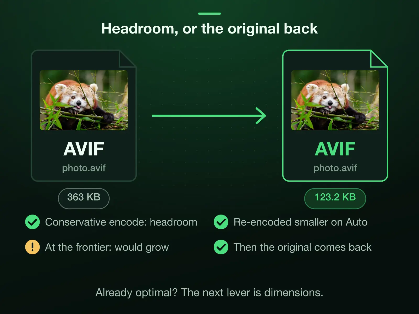 Our 363 KB reference AVIF, encoded conservatively, re-compressed on Auto to a 123.2 KB AVIF. When a file is already at the efficient frontier, re-encoding would grow it, so the original comes back untouched.