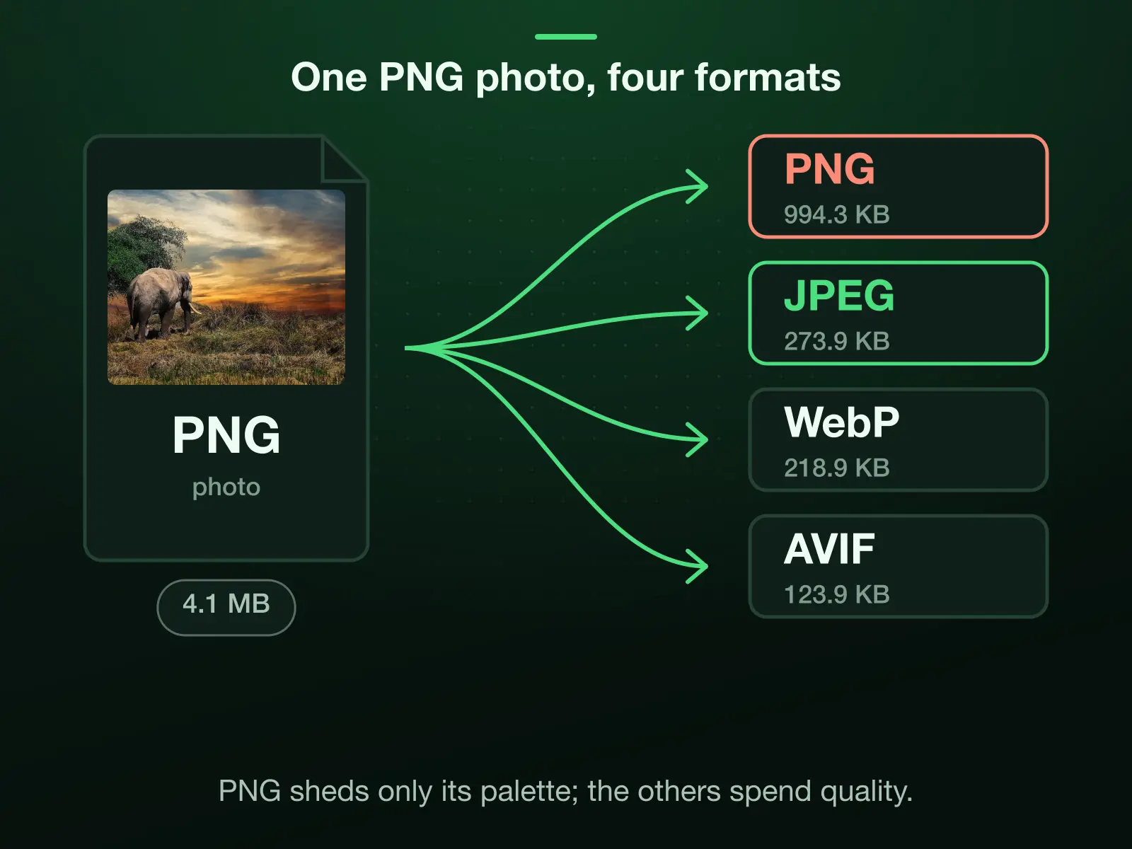 Our reference photo saved as PNG, 4.1 MB, at Auto in four formats: 994.3 KB as PNG, 273.9 KB as JPEG, 218.9 KB as WebP and 123.9 KB as AVIF. The PNG could shed only its palette; the other three spent quality.