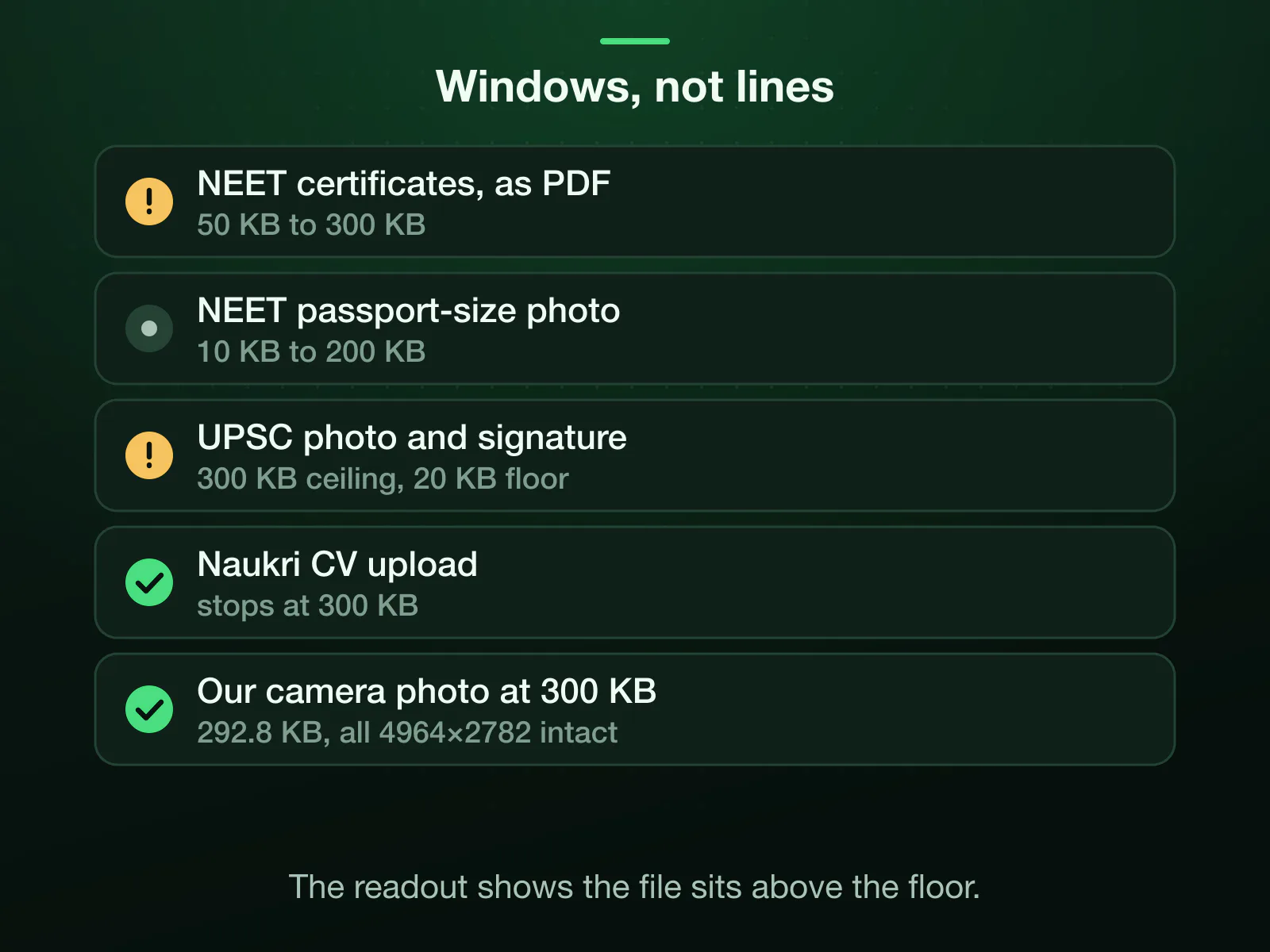 The 300 KB rules are windows: NEET's scanned certificates as PDFs at 50 KB to 300 KB and its passport-size photo at 10 KB to 200 KB, UPSC's 300 KB ceiling with a 20 KB floor, Naukri's CV at 300 KB. Our camera photo landed at 292.8 KB.