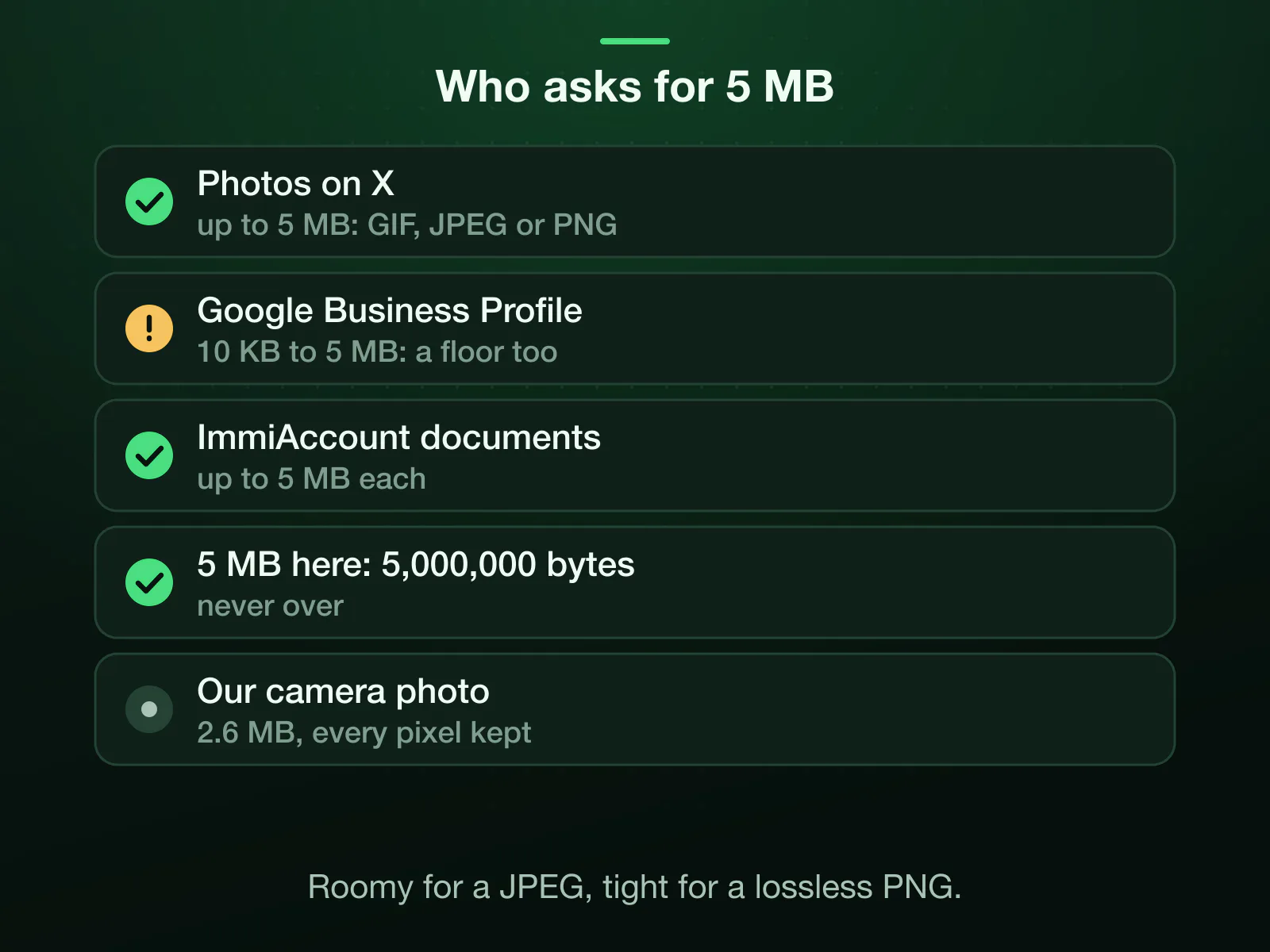Who asks for 5 MB: photos on X (up to 5 MB, GIF, JPEG or PNG), Google Business Profile photos (10 KB to 5 MB) and Australia's ImmiAccount documents (up to 5 MB each). 5,000,000 bytes here; our camera photo came back at 2.6 MB with every pixel.