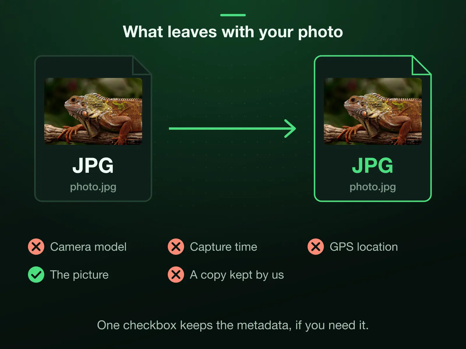 A JPG going in and the compressed JPG coming out: the camera model, capture time and GPS location are stripped by default, the picture is kept, and no copy stays with us. Photographers can keep the metadata with one checkbox.