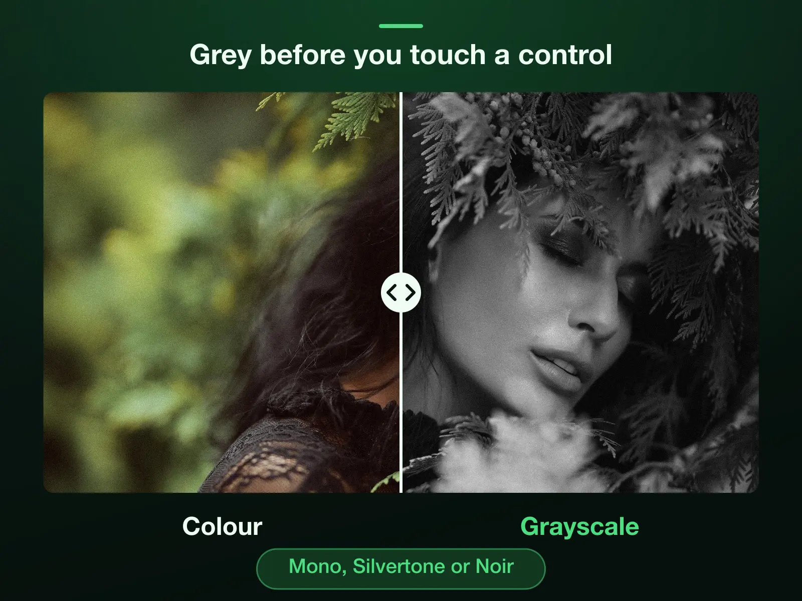 One photo of a woman among fern leaves split down the middle: colour on the left, grayscale on the right, each pixel given one grey from its own red, green and blue. The Color tab opens with Mono pressed; Silvertone and Noir sit beside it.
