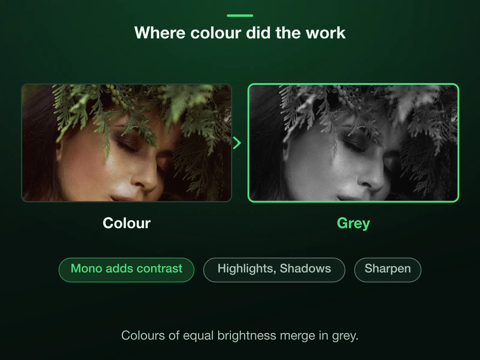 Her face and the fern leaves up close in colour and in grey: in colour the warm skin and the green leaves stand apart by hue; in grey only their brightness separates them, and the picture reads flatter. Mono adds a step of contrast, Noir a lot; Highlights, Shadows and Sharpen help.