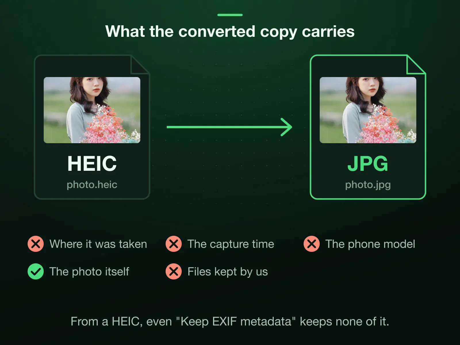 An iPhone HEIC converted to a JPG: the place it was taken, the capture time and the phone model are stripped, the photo itself is kept, and the files are wiped after the conversion. From a HEIC, Keep EXIF metadata brings none of them back.