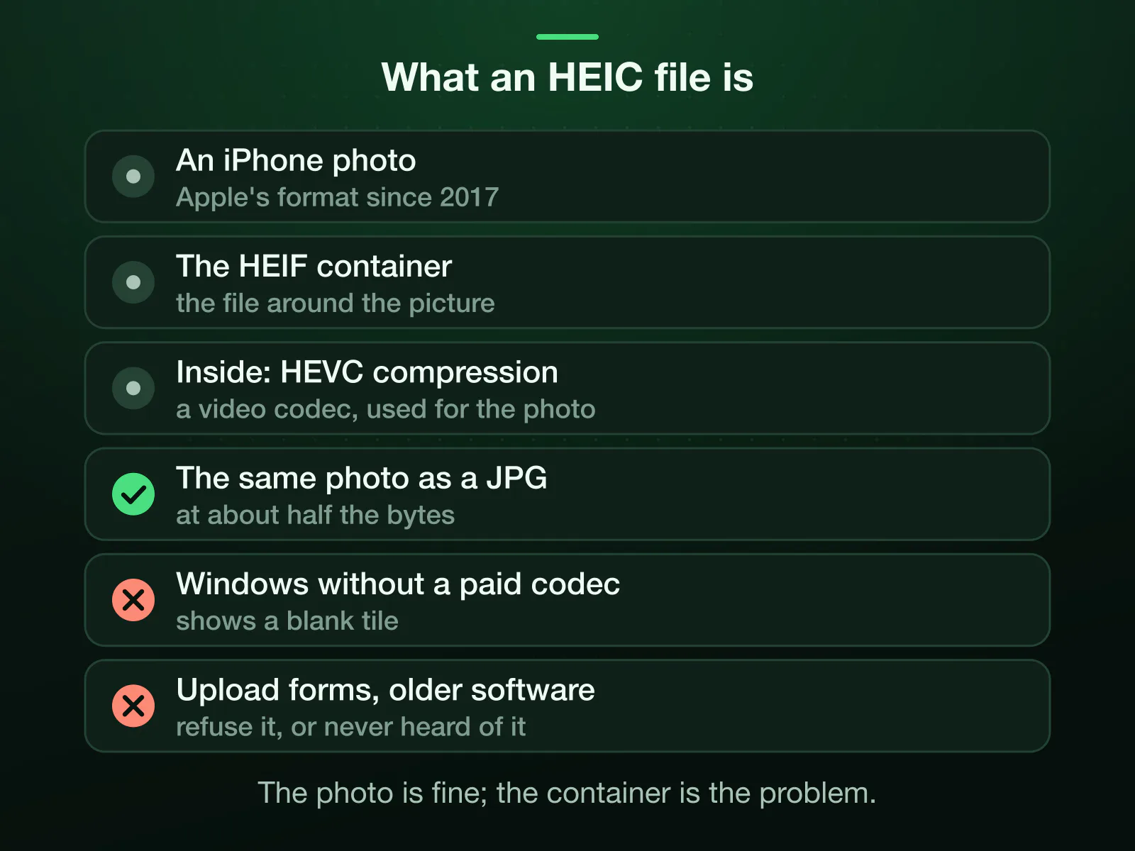 What an HEIC file is: an iPhone photo, Apple's format since 2017, the HEIF container with an HEVC-compressed picture inside, the same photo as a JPG at about half the bytes. On Windows without the paid codec it shows a blank tile, and upload forms and older software refuse it.