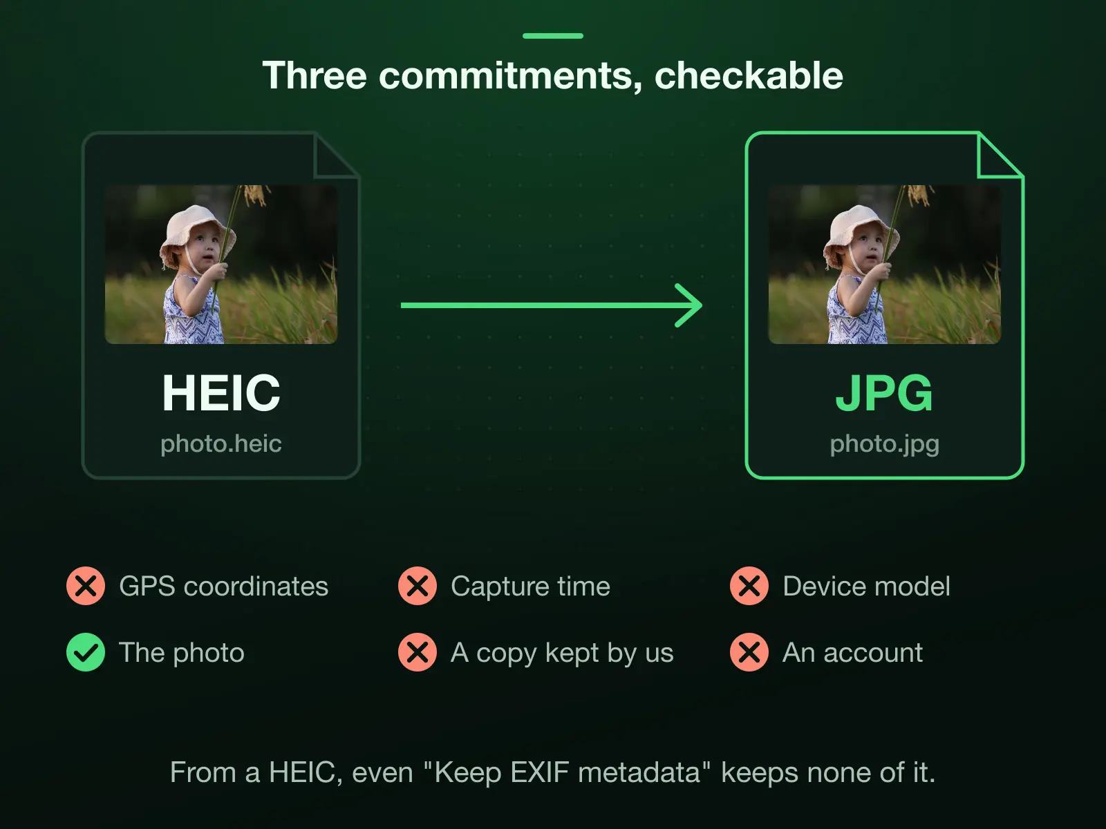 An iPhone HEIC converted to JPG: the GPS coordinates, capture time and device model are stripped, the photo is kept, no copy stays with us and no account is needed. None of the camera data comes back from a HEIC, even with Keep EXIF metadata on.