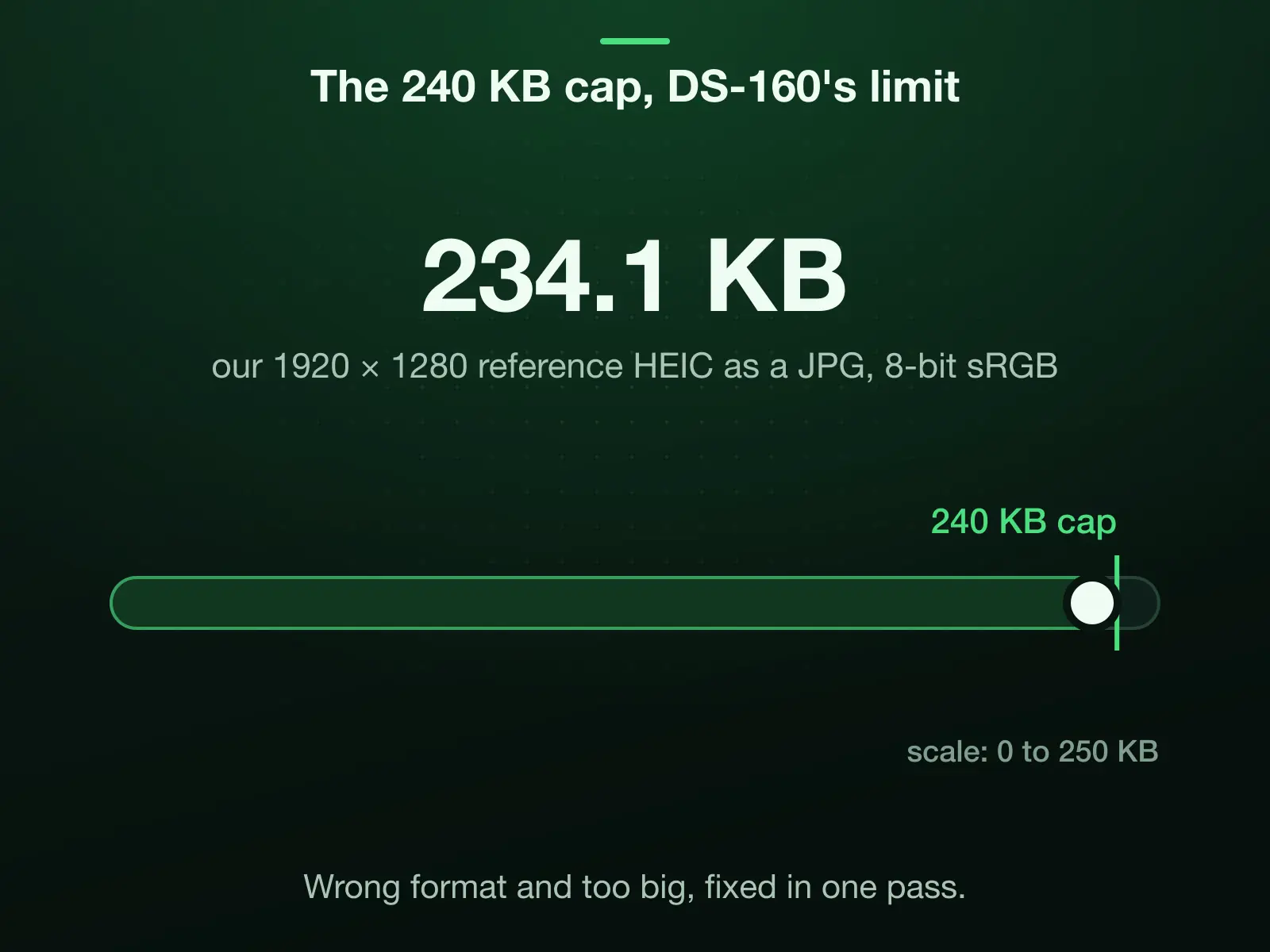 A scale from 0 to 250 KB with the 240 KB cap, DS-160's limit: our 1920 × 1280 reference HEIC converted to JPG with Max file size at 240 KB landed at 234.1 KB, under the cap, as a standard 8-bit sRGB JPEG.