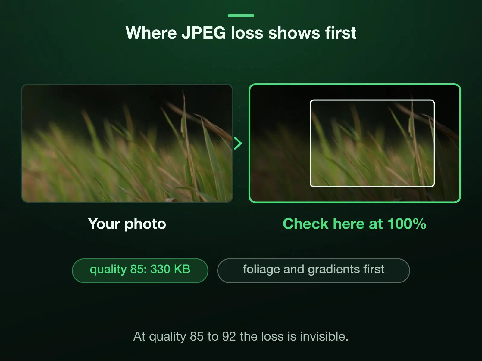 A child's photo zoomed on the long grass beside her, spotlighted: fine foliage and smooth gradients are where JPEG loss shows first, so check them at 100% zoom. Our 1920 × 1280 reference HEIC as a quality-85 JPG measured 330 KB.