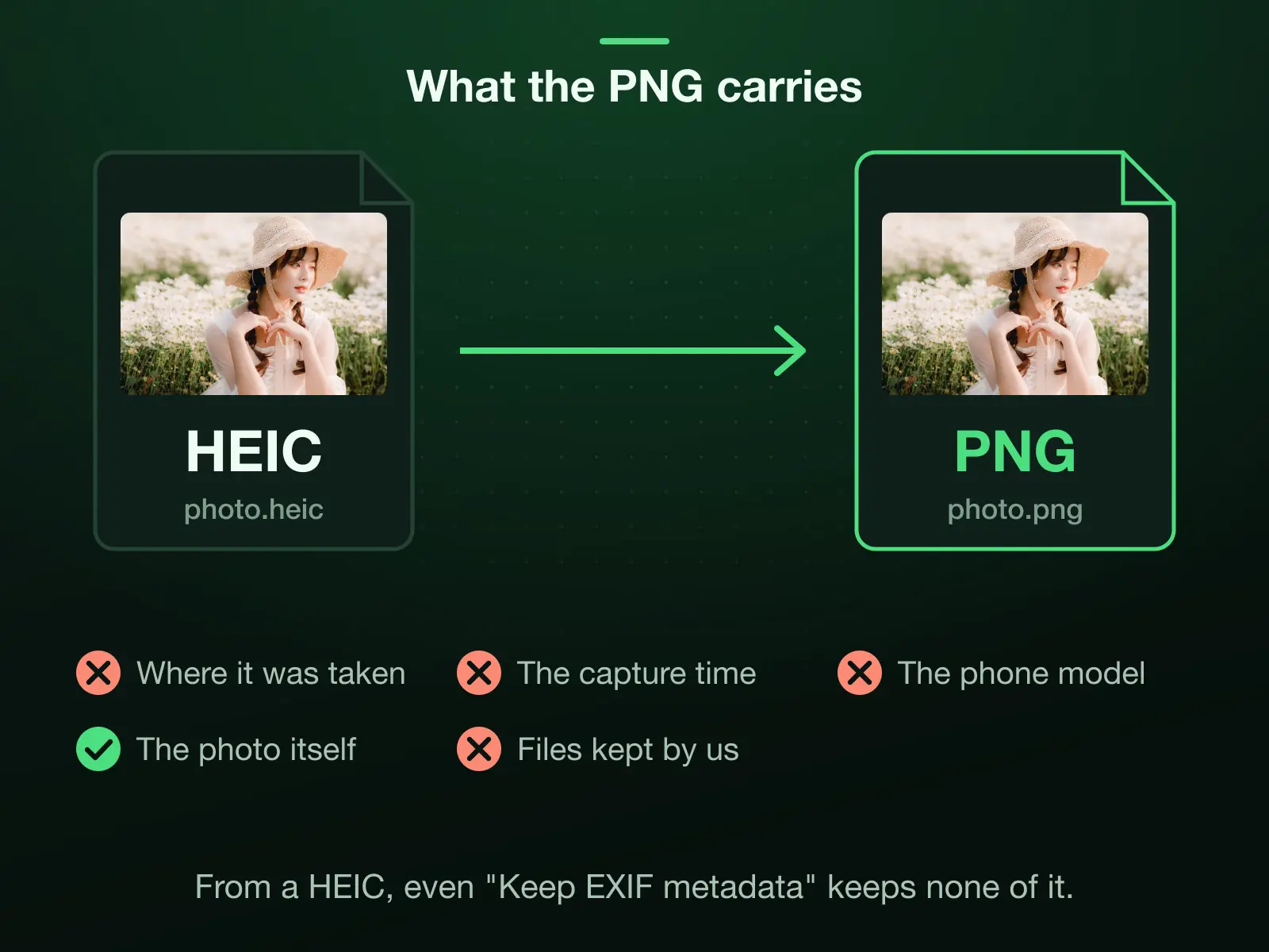 An iPhone HEIC converted to a PNG: the place it was taken, the capture time and the phone model are stripped, the photo itself is kept, and the files are wiped after the conversion. From a HEIC, Keep EXIF metadata brings none of them back.