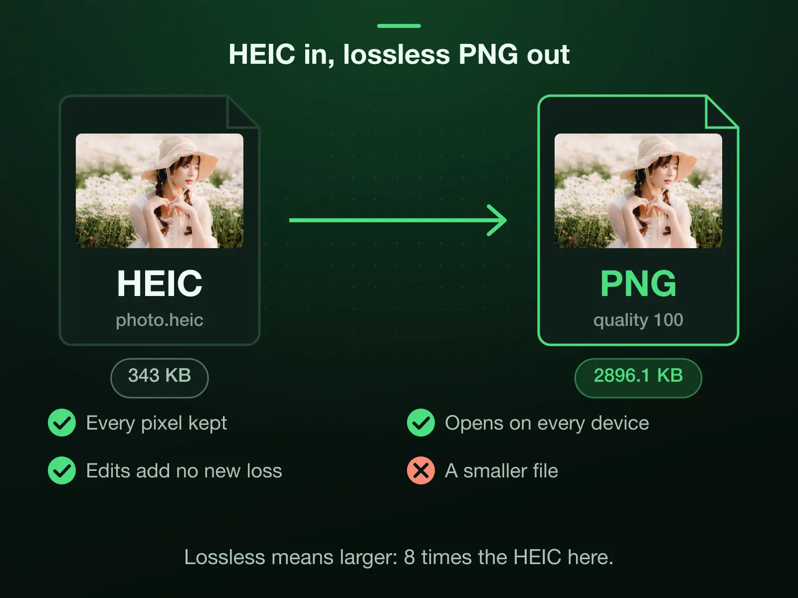 Our 343 KB reference HEIC decoded and written as a 2896.1 KB lossless PNG at quality 100, 8 times the bytes: every pixel is kept, it opens on every device and edits add no new loss, but the file is not smaller.