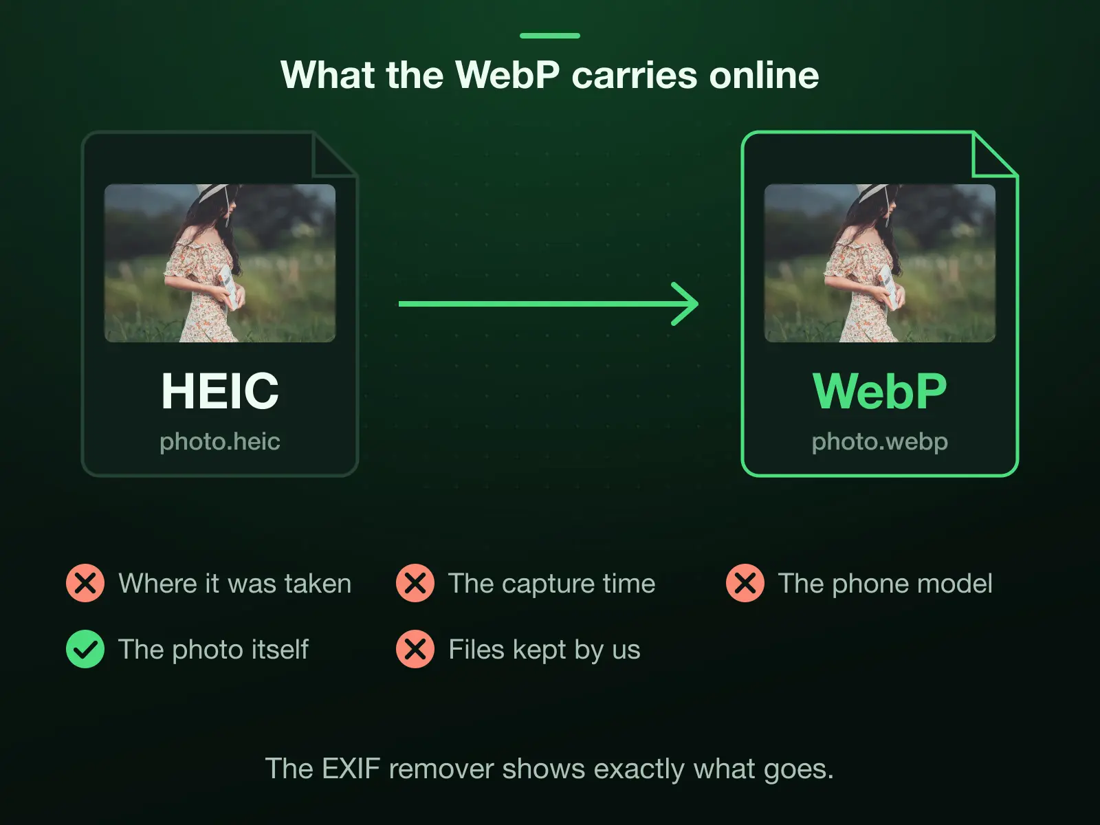 An iPhone HEIC converted to a WebP for a website: the place it was taken, the capture time and the phone model are stripped, the photo itself is kept, and the files are wiped automatically after the conversion.