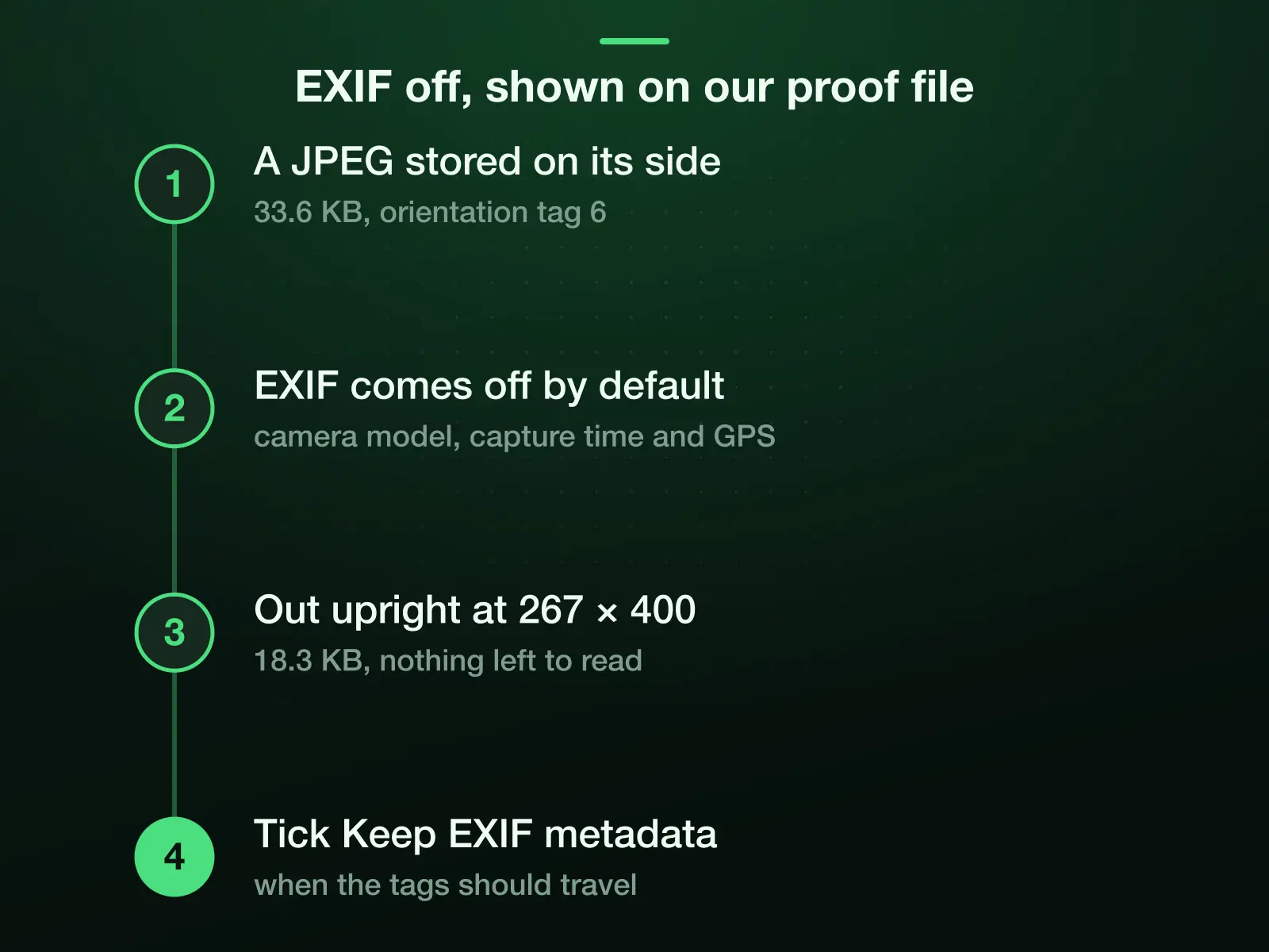 EXIF stripped by default, shown on our proof file: a 33.6 KB JPEG stored on its side with orientation tag 6 came out at 18.3 KB, upright at 267 by 400 pixels, with camera model, capture time and GPS gone.