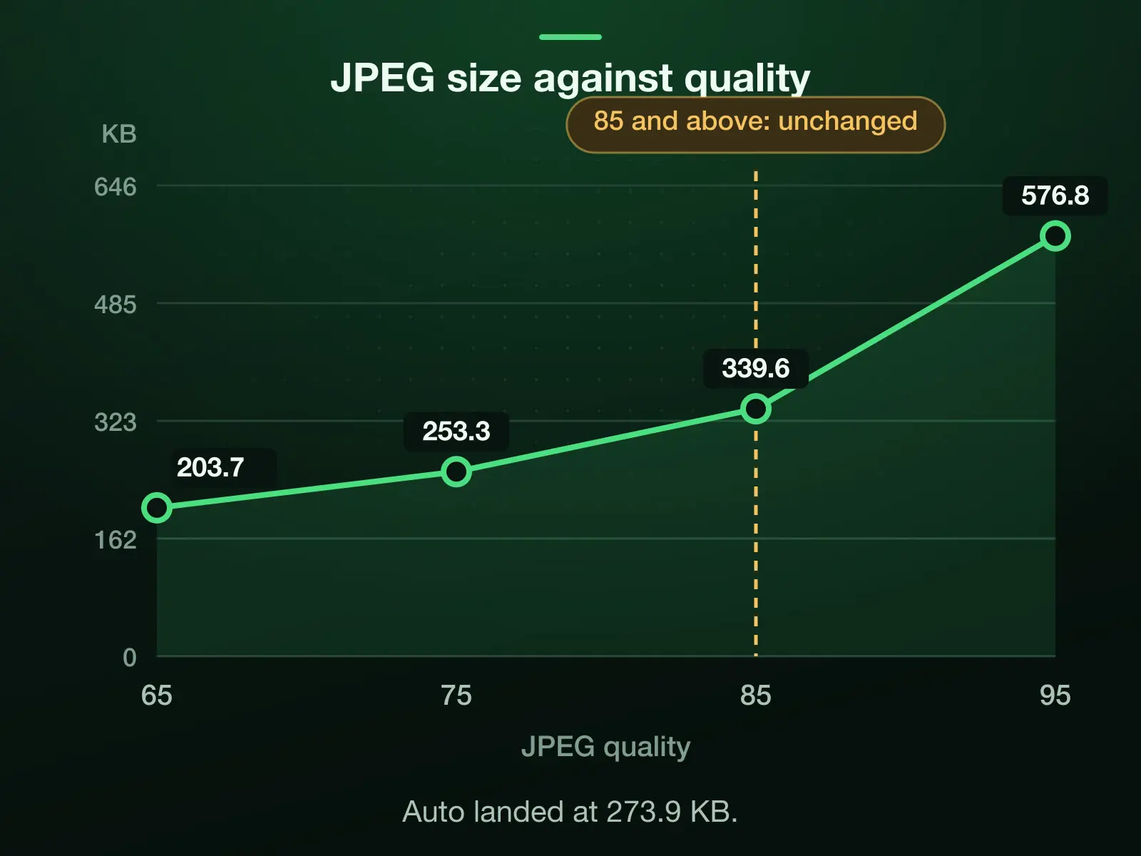 JPEG size against quality for our 576.8 KB reference photo: 576.8 KB at 95, 339.6 KB at 85, 253.3 KB at 75 and 203.7 KB at 65. Auto landed at 273.9 KB.