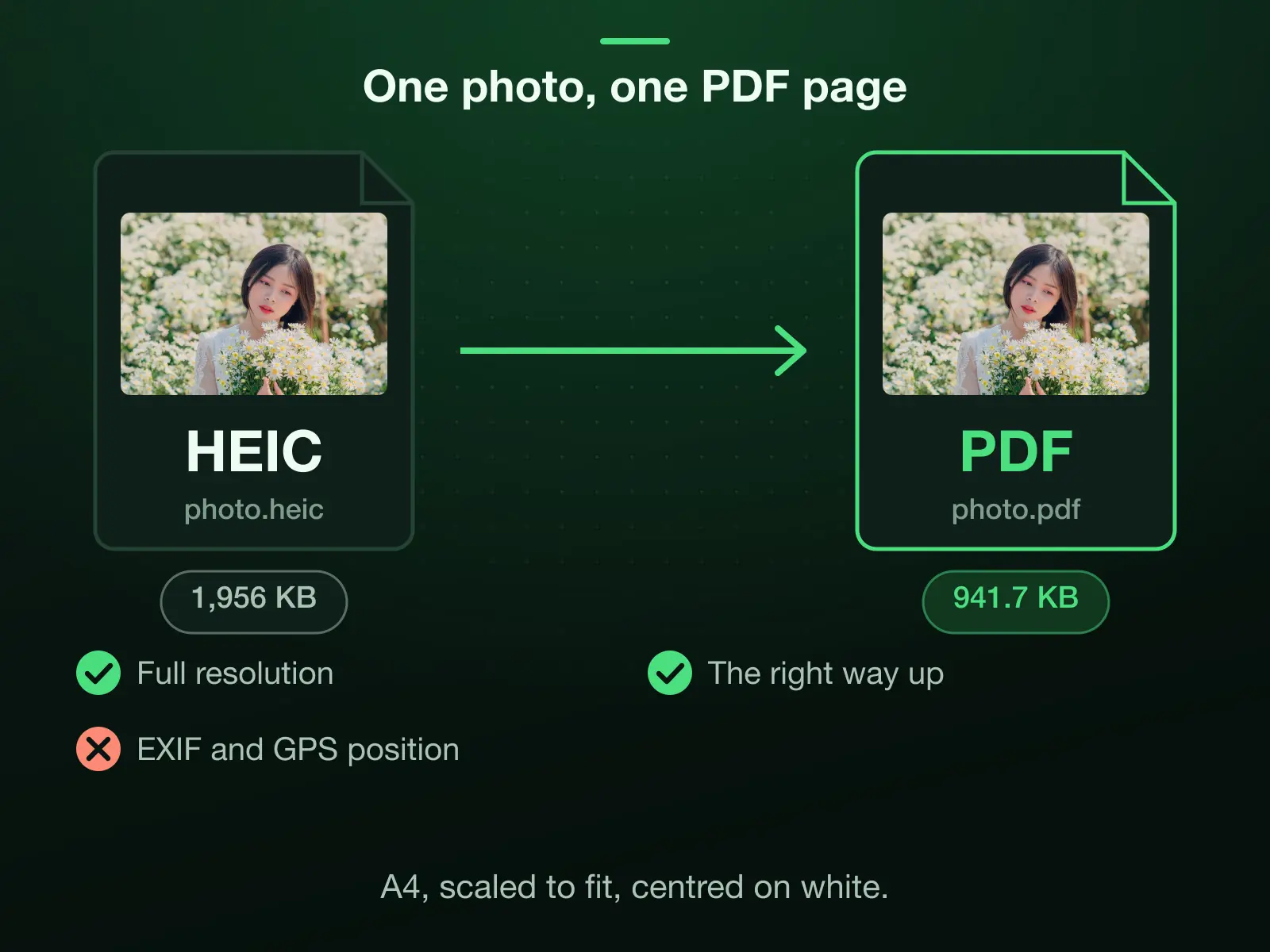 One photo to PDF: a 2268 × 4032 phone photo of 1,956 KB became a one-page PDF of 941.7 KB, upright, at full resolution, with its EXIF metadata and GPS position removed.