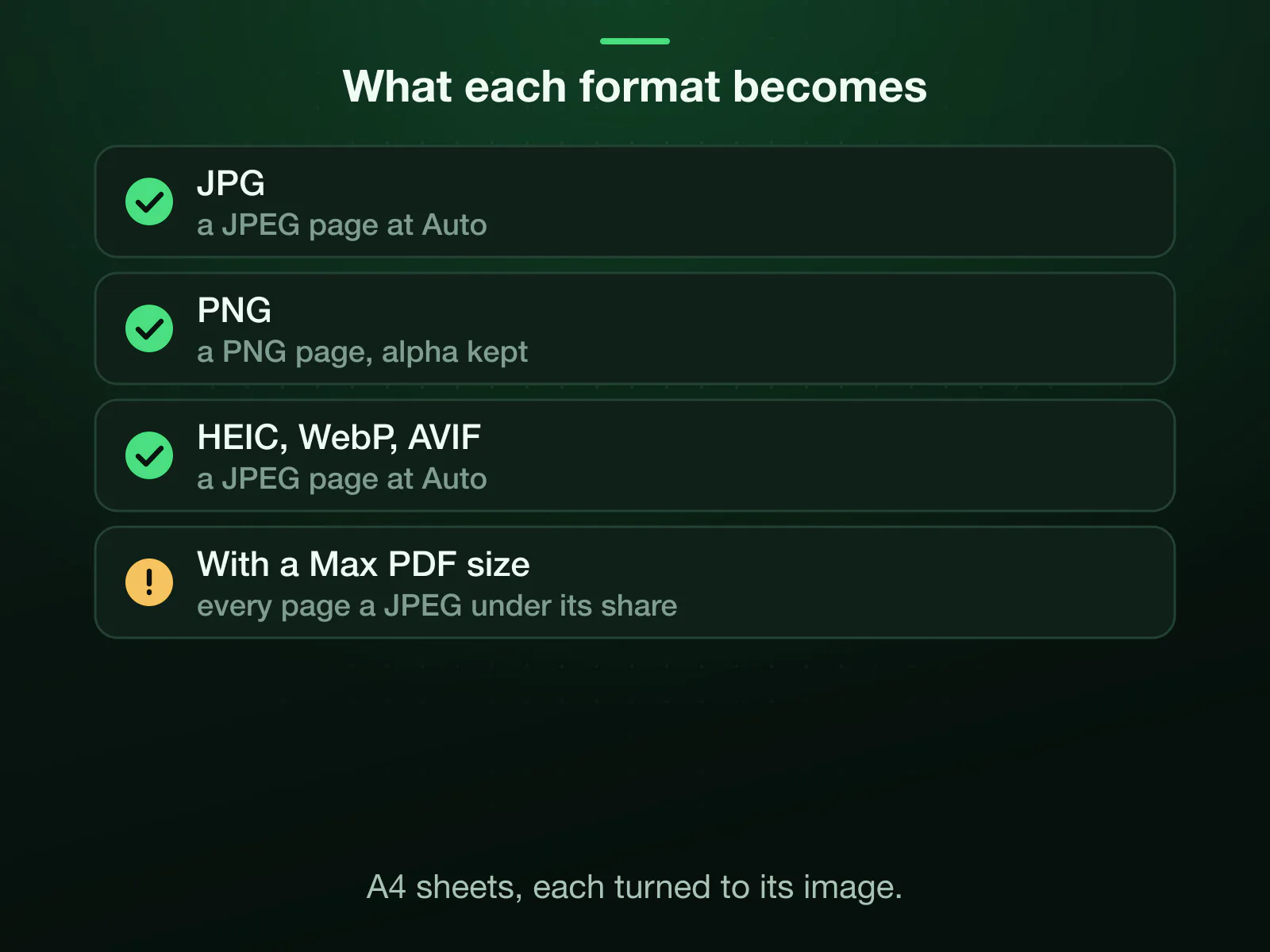 What each image format becomes as a page of the PDF when no size limit is set: a JPG stays a JPEG, a PNG stays a PNG with its transparency, and a HEIC, WebP or AVIF becomes a JPEG at Auto; with a size limit, every page is a JPEG.