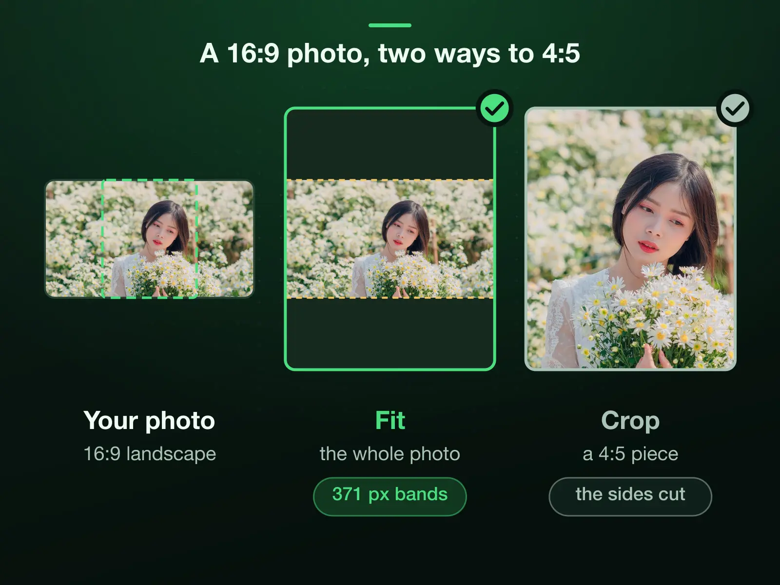 A 16:9 landscape photo and the two ways to make it 1080 × 1350: Fit keeps the whole photo on a fill, with a band of about 371 pixels above and below; Crop cuts a 4:5 piece out of it instead.