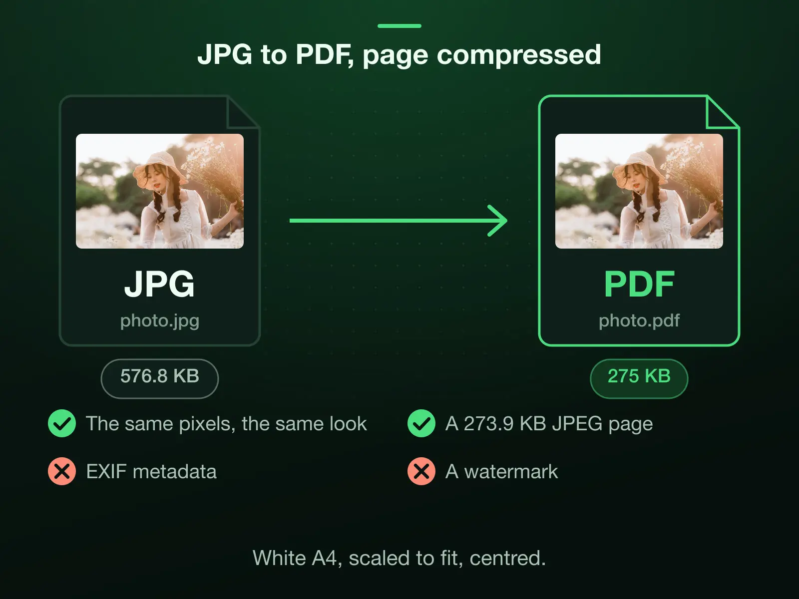 A 1920 × 1280 JPG of 576.8 KB converted to PDF: the engine compresses it to a 273.9 KB JPEG page at Auto, and the PDF weighs 275 KB, 48% of the JPG.
