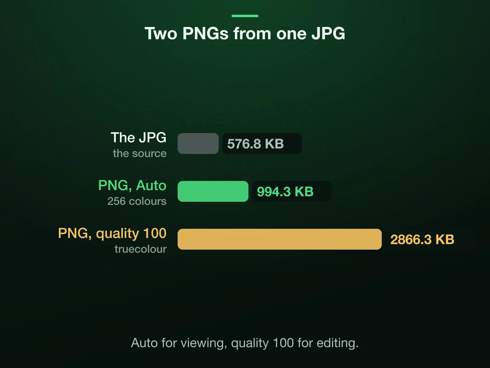 Our 576.8 KB JPG as two PNGs: 994.3 KB on Auto, a 256-colour palette, and 2866.3 KB at quality 100, truecolour and lossless, 497% of the JPG's bytes.
