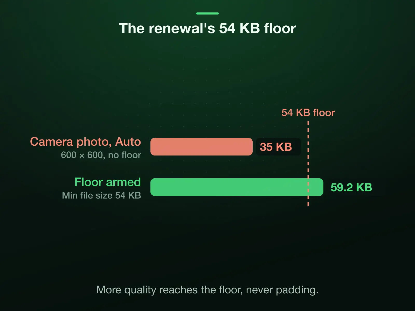 Our 9.8 MB camera photo cropped to 600 × 600 against the online renewal's 54 KB floor: 35 KB at Auto falls under it; with Min file size at 54 KB, as this page opens, the engine raises quality and the file comes back at 59.2 KB.