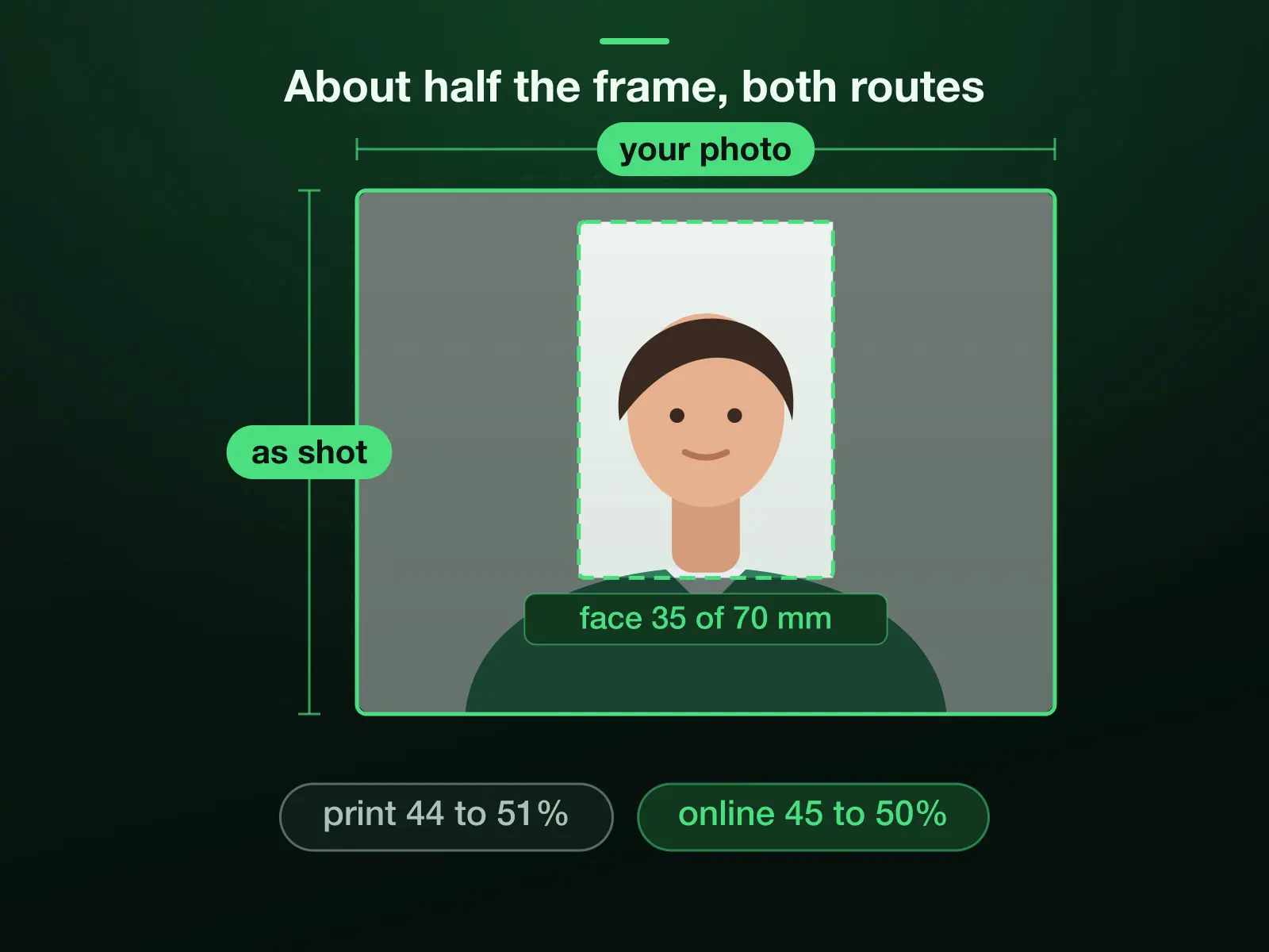 A photo with the 50 × 70 mm frame placed the way the page says, the chin a quarter of the way up and the crown a quarter down: the face is 35 of 70 mm, inside the print's 44% to 51% and the online 45% to 50%.