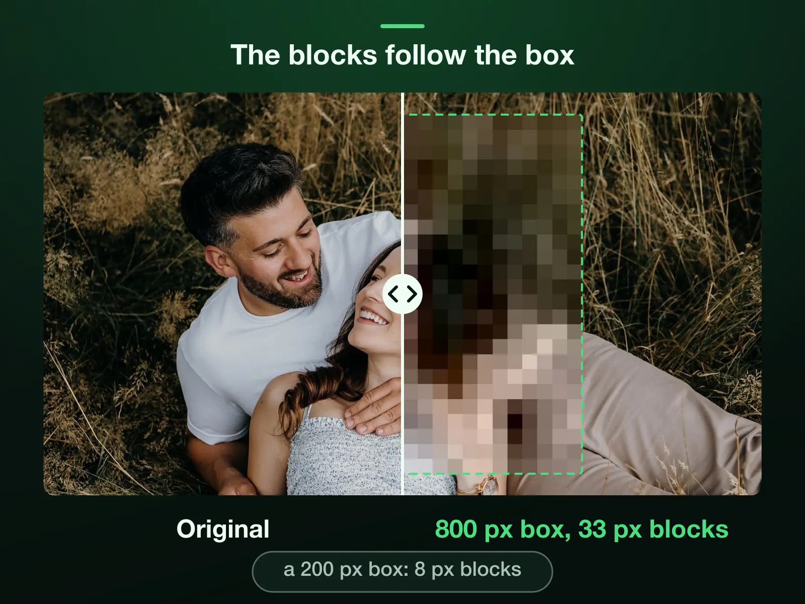 One photo split down the middle, the right half of an 800-pixel box turned into blocks, 24 each way and about 33 pixels across. A box 200 pixels wide gets blocks about 8 pixels across: the block size follows the box.