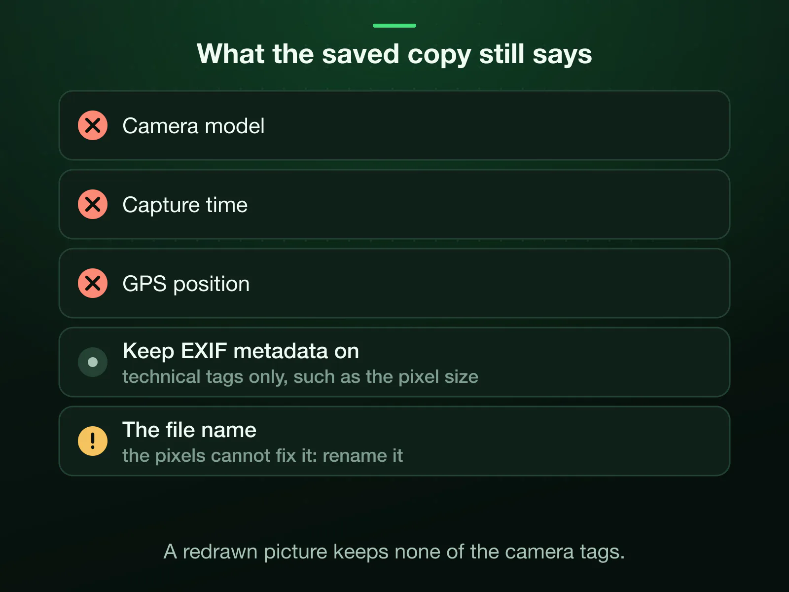 What the pixelated copy says about the photo: no camera model, no capture time and no GPS position, because a redrawn picture keeps none of the camera tags. Keep EXIF metadata writes only technical tags such as the pixel size; the file name is yours to rename.