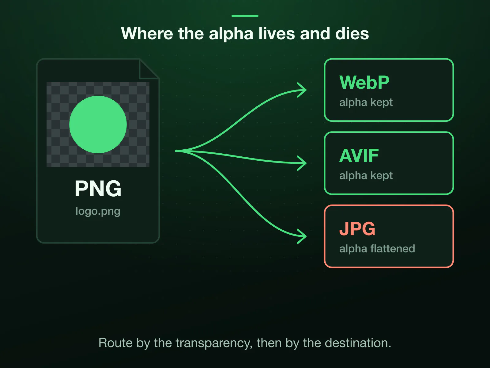 A transparent PNG logo routed three ways: WebP and AVIF keep the alpha channel, soft shadows included, while JPG has no alpha and flattens the transparent regions onto a background, previewed before download.