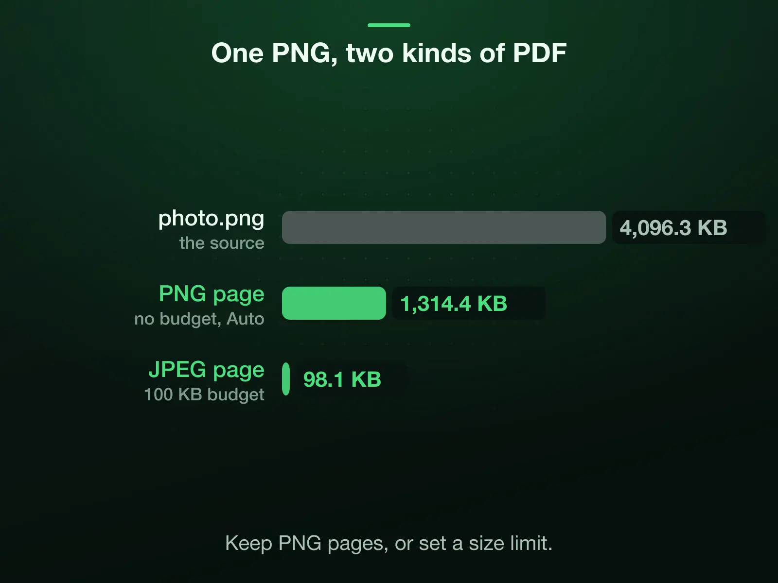 Our reference photo saved as a 4,096.3 KB PNG, two ways: with no budget it stays a PNG page and the PDF weighs 1,314.4 KB; with a 100 KB budget the page becomes a 97.1 KB JPEG and the PDF weighs 98.1 KB.