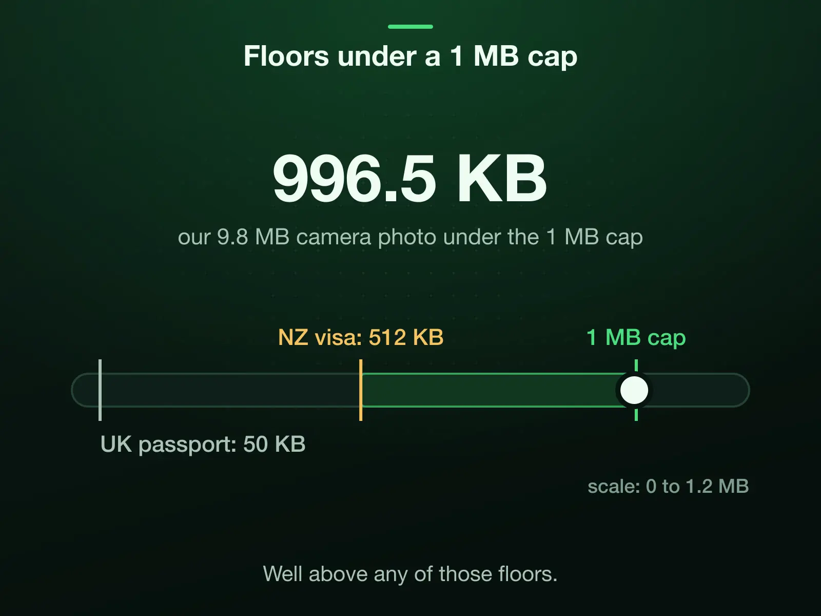 A 0 to 1.2 MB scale with a 1 MB cap, Immigration New Zealand's 512 KB floor and HM Passport Office's 50 KB floor: our 9.8 MB camera photo came back at 996.5 KB under the cap, well above any of those floors.