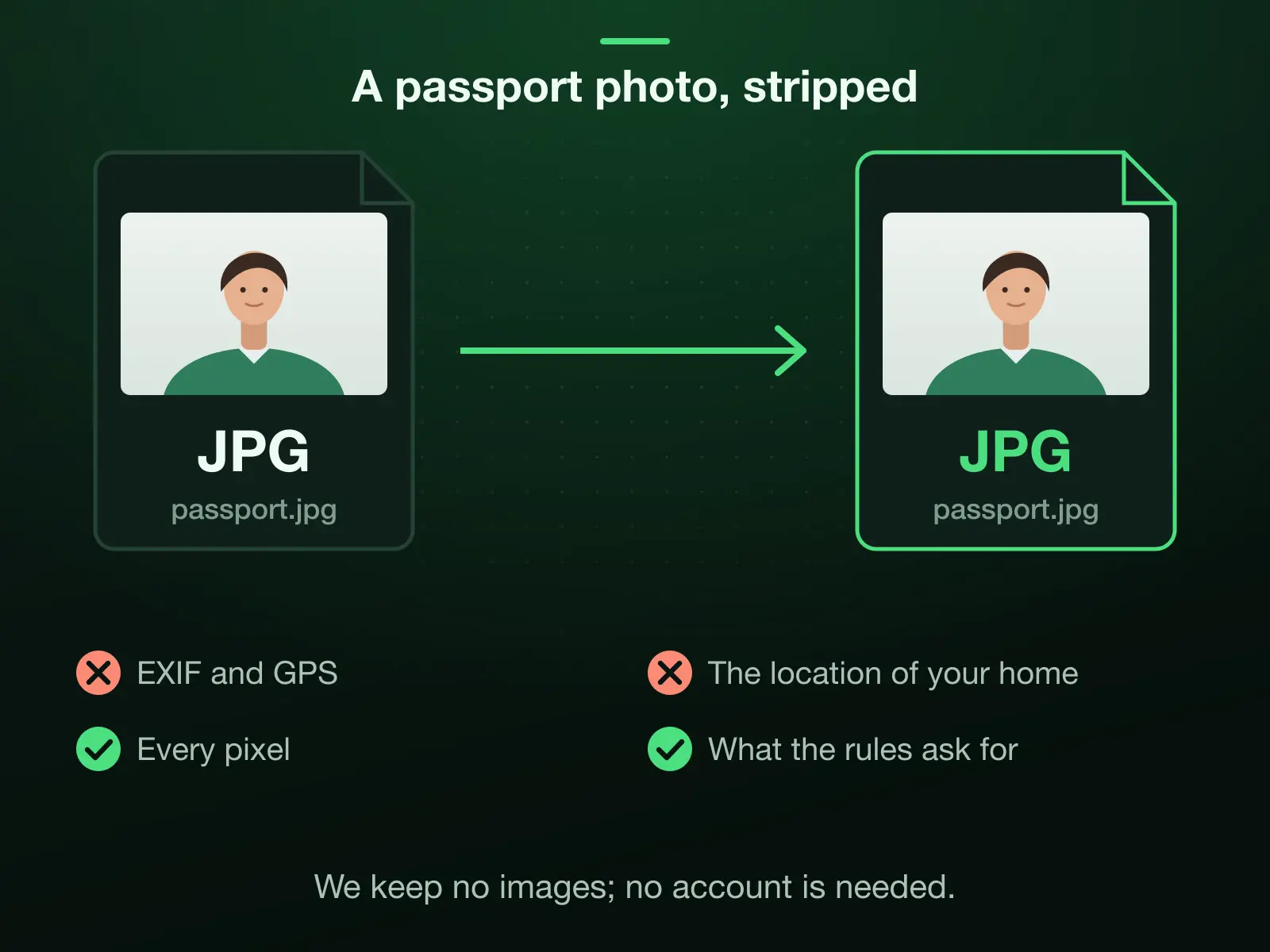 A passport photo before and after: EXIF and GPS removed, so it stops carrying the location of your home, while every pixel and what the size rules ask for stay. We keep nothing, and no account is needed.