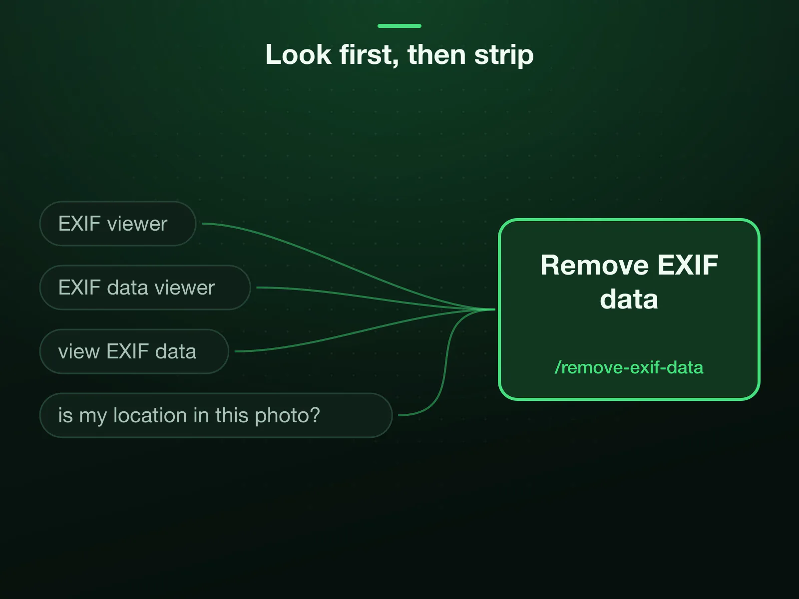 Searches for an EXIF viewer, an EXIF data viewer or to view EXIF data mostly ask one thing, is my location in this photo, and arrive at the remove EXIF page, whose result lists what came off the file.