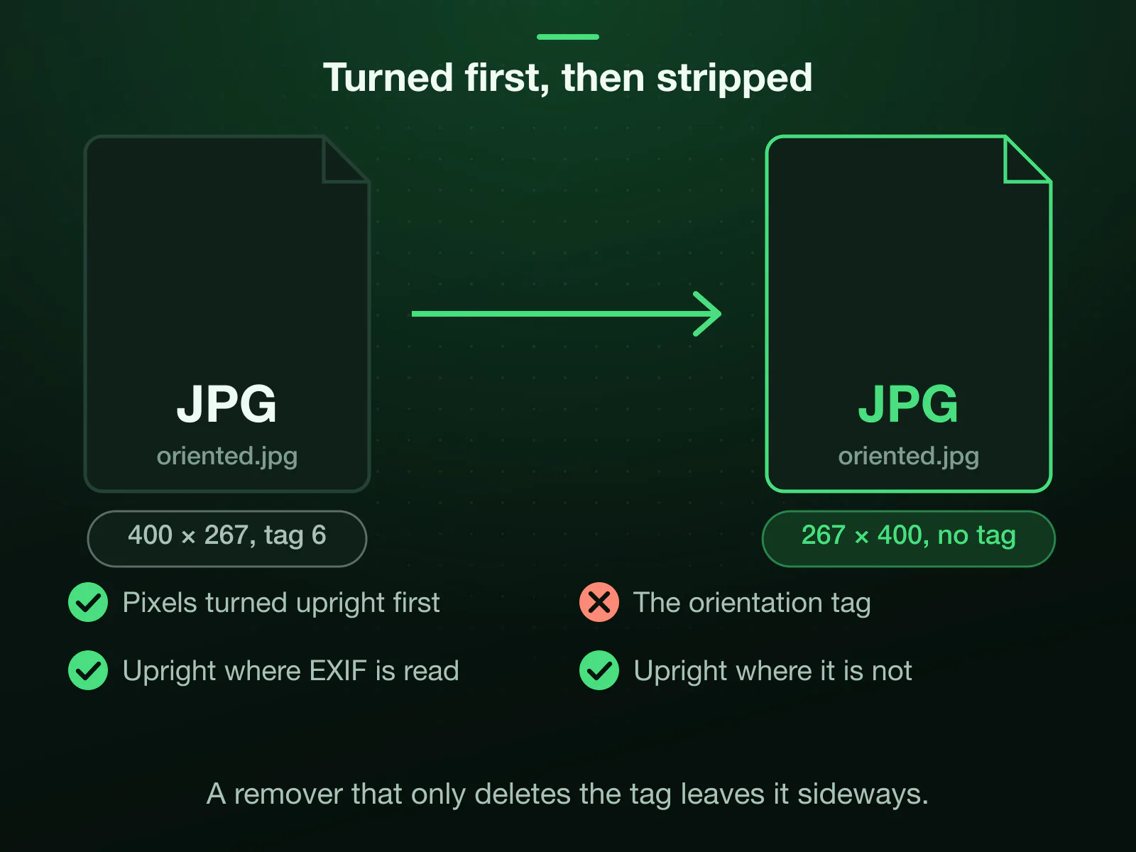 oriented.jpg is stored 400 × 267 on its side with an orientation tag of 6. The engine turns the pixels before it removes the tag, so it leaves 267 × 400 with no tag, upright in a viewer that reads EXIF and in one that does not.