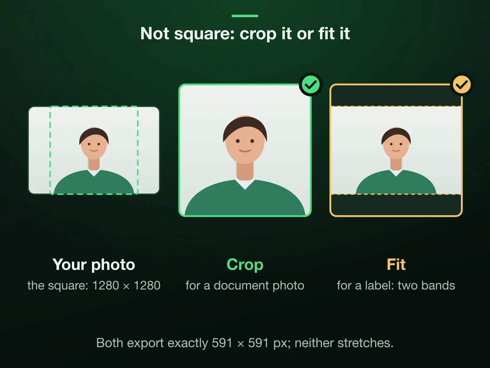 Our 1920 × 1280 reference photo with its largest centred square, 1280 × 1280, and two ways into 50 × 50 mm, both exactly 591 × 591 pixels: Crop keeps the square, for a document photo; Fit keeps the whole picture with two bands, for a label.