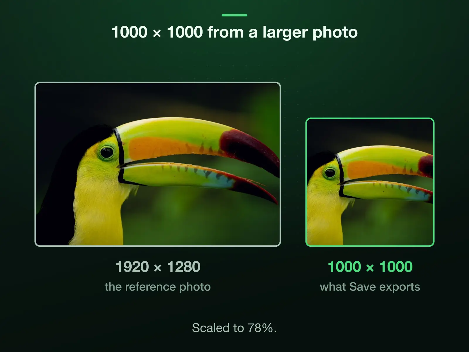 Our 1920 × 1280 reference photo and 1000 × 1000 to one scale: cropped to 1:1 it is 1280 × 1280, which the export scales down to 78% to reach 1000 × 1000.