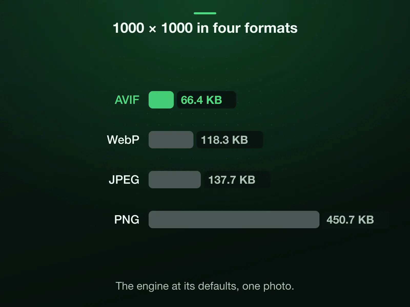 The reference photo at 1000 × 1000 in four formats, measured: AVIF 66.4 KB, WebP 118.3 KB, JPEG 137.7 KB, PNG 450.7 KB. AVIF is the smallest.
