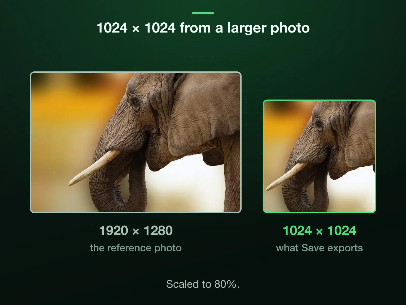 Our 1920 × 1280 reference photo and 1024 × 1024 to one scale: cropped to 1:1 it is 1280 × 1280, which the export scales down to 80% to reach 1024 × 1024.